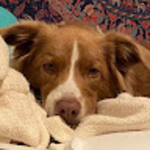 Meet your Posher, Silke